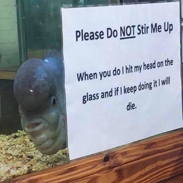 Posting this notice on my desk at work.