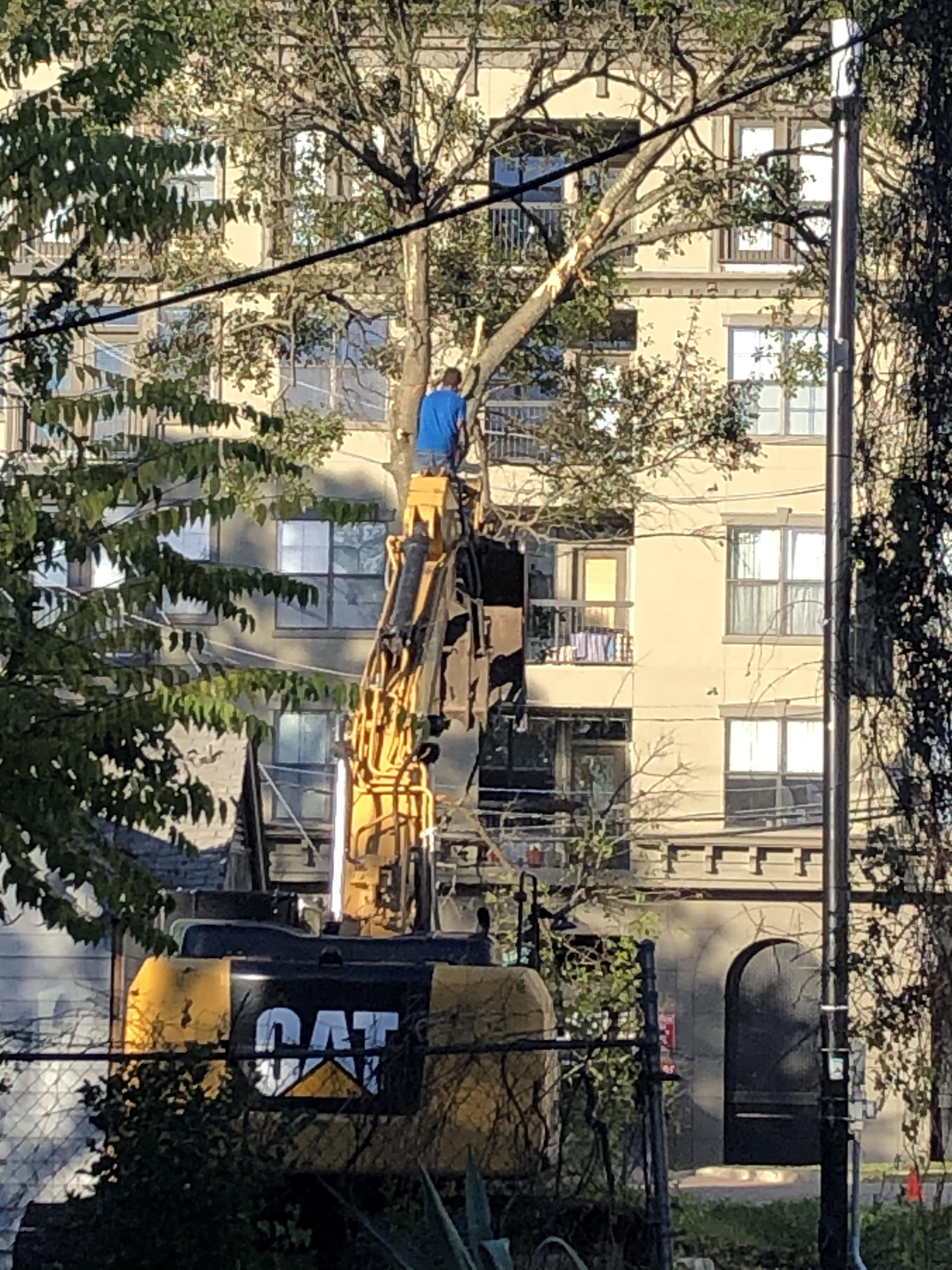 Power lines, check, chainsaw in hand, check, being hoisted up 20+ feet ...