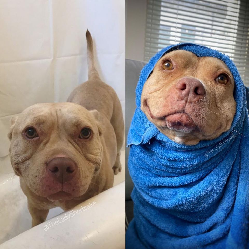 pre-bath vs post-bath