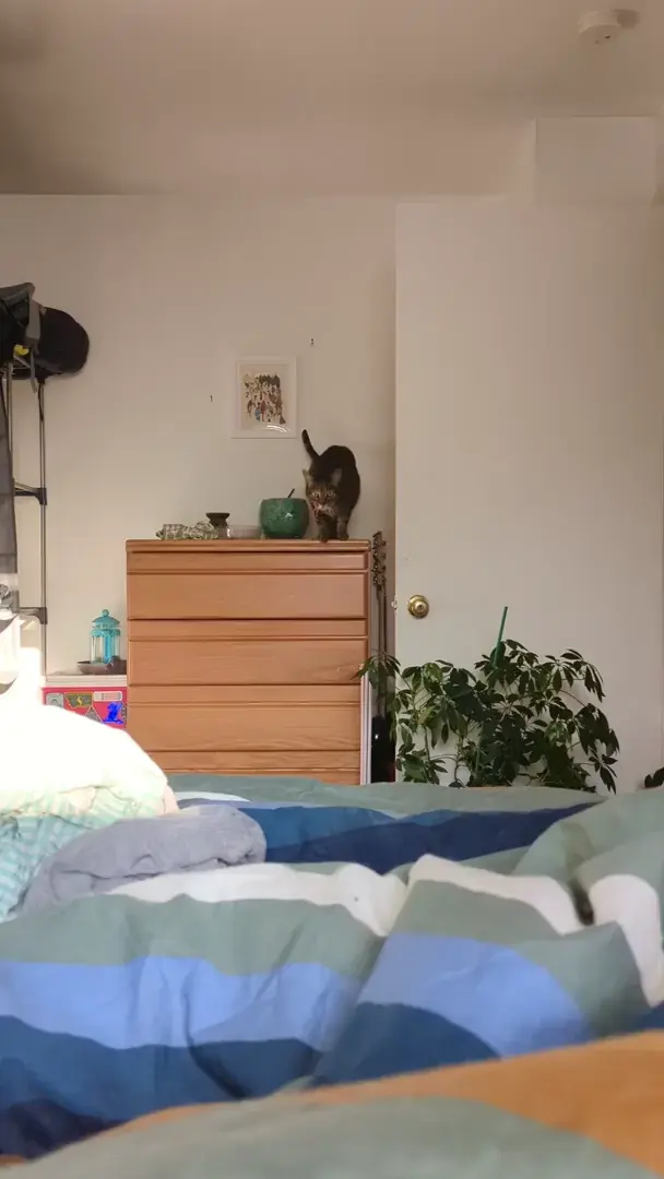 Precise calculations 