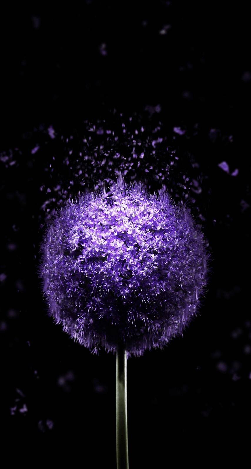 Purple Pollination