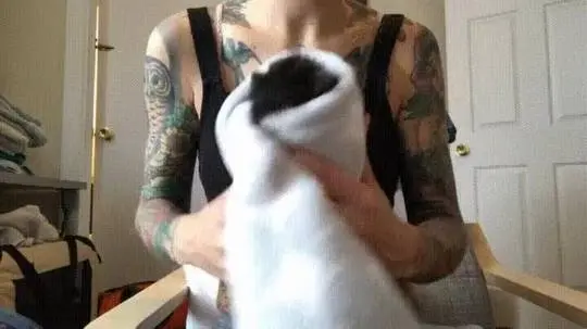 Purrito kitten kneading the air.