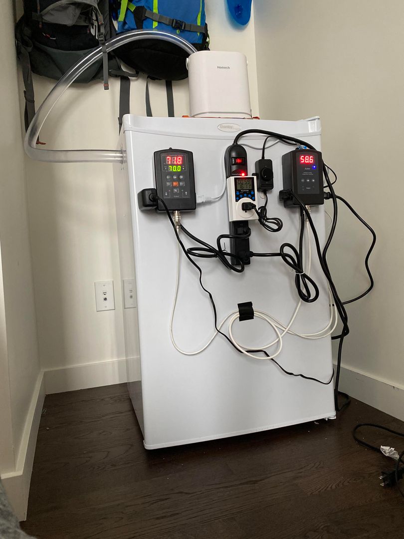 Question about smell