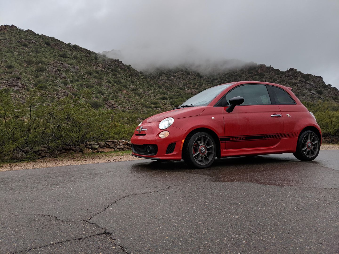 Rain makes everything look better.