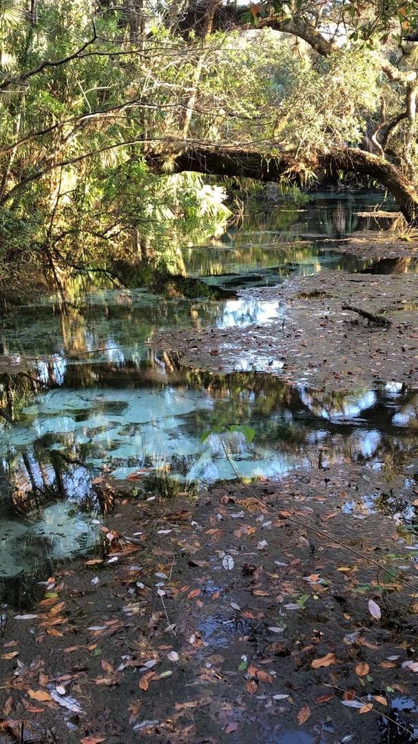 Rainbow River - Florida