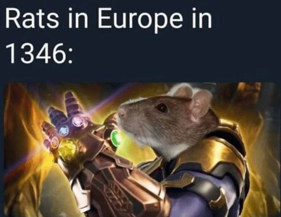 Random meme from my photos