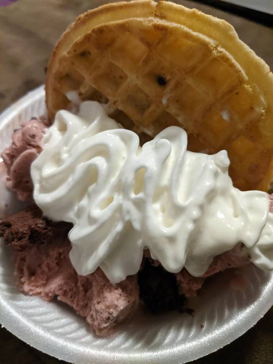 Raspberry chocolate-chip ice cream with a chocolate-chip waffle and whipped cream 🍨