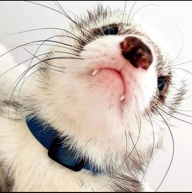 Ready for my close up dook dook