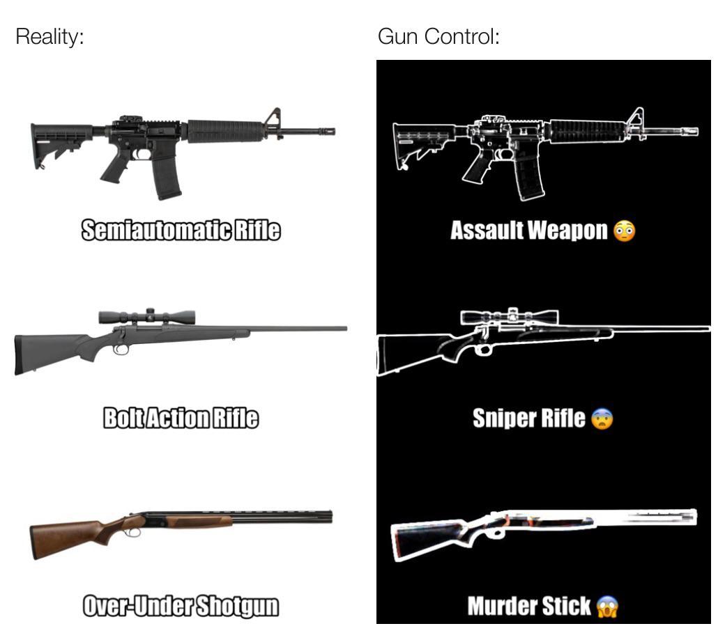 Reality versus Gun Control
