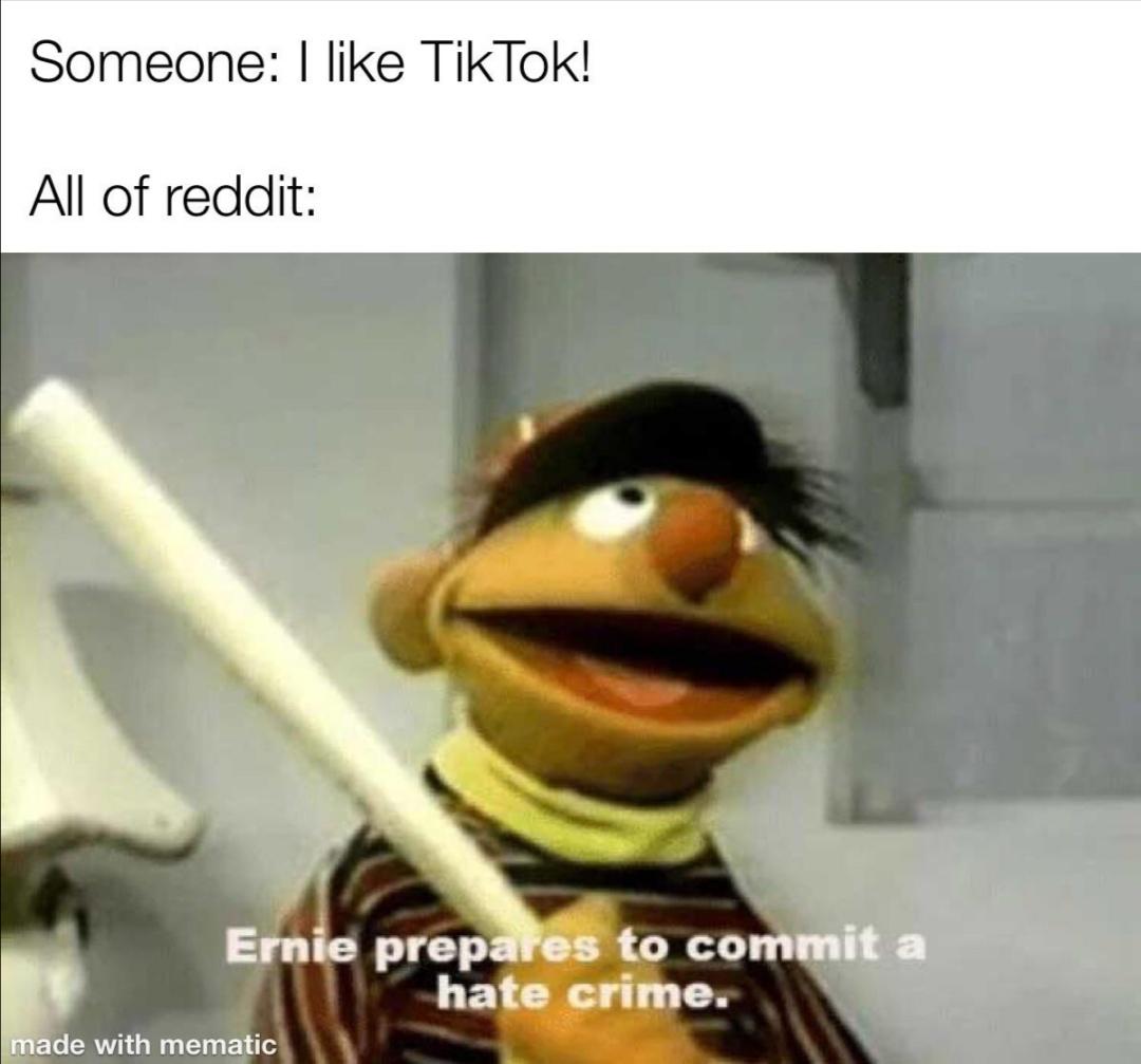 Reddit good TikTok bad