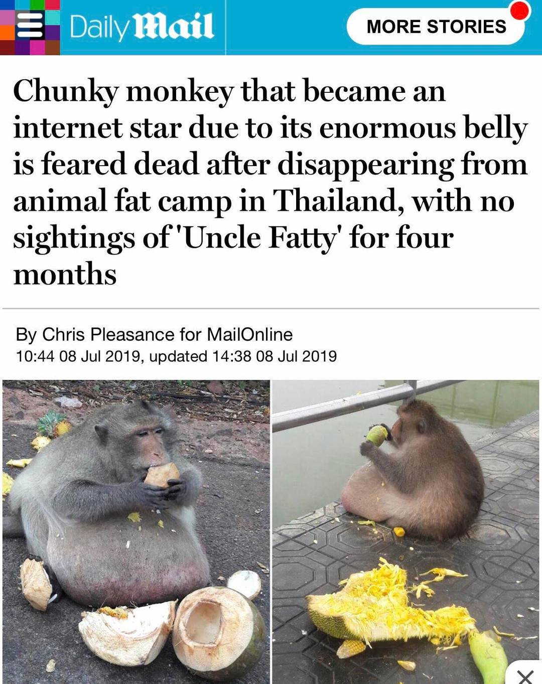 REEEEE we lost a M’goodmonkey REEEEE