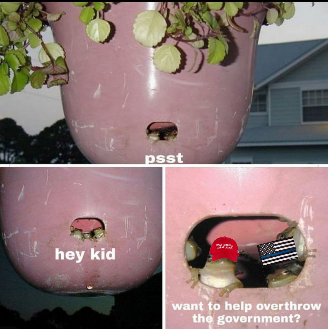 remember them? this they now