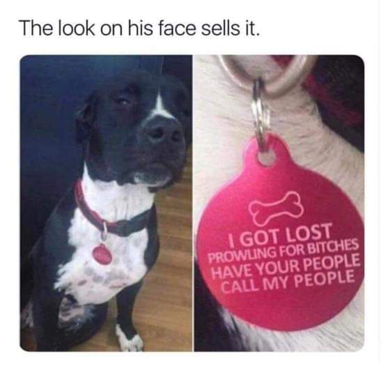 Remember when memes were simple and funny?