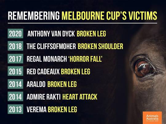 Remembering Melbourne Cup’s victims