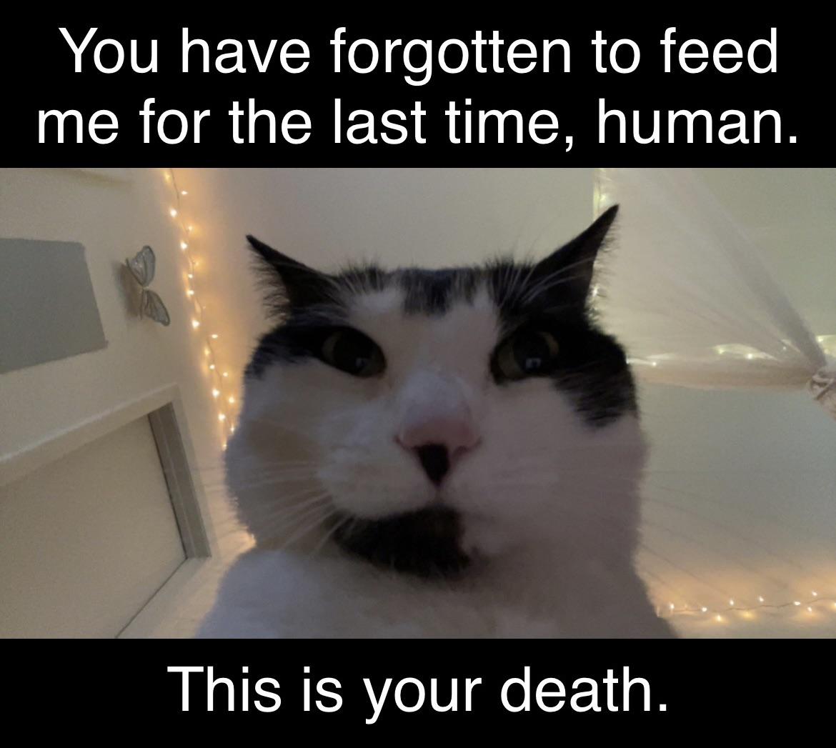 Requested and Delivered