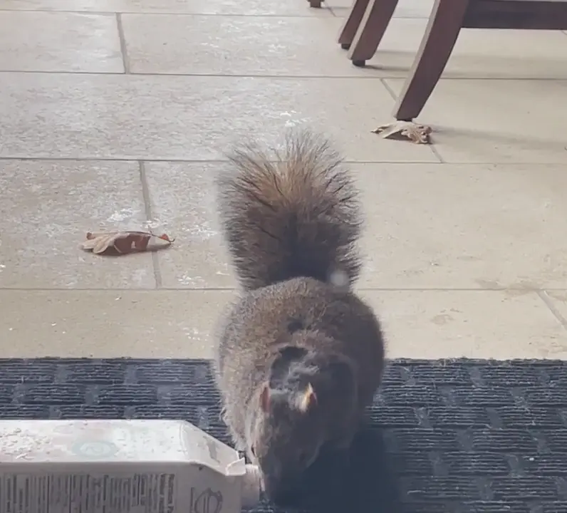 Returned from school and found this