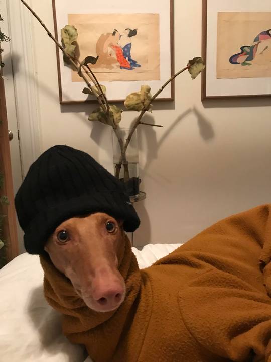 right before she ghosts you