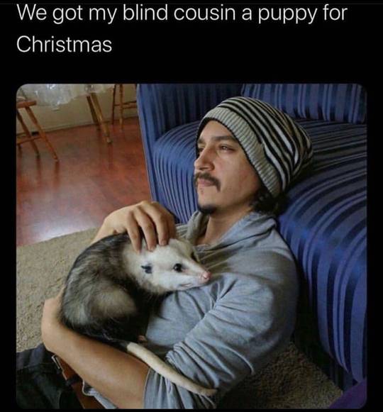 I mean.. both are looking happy tho