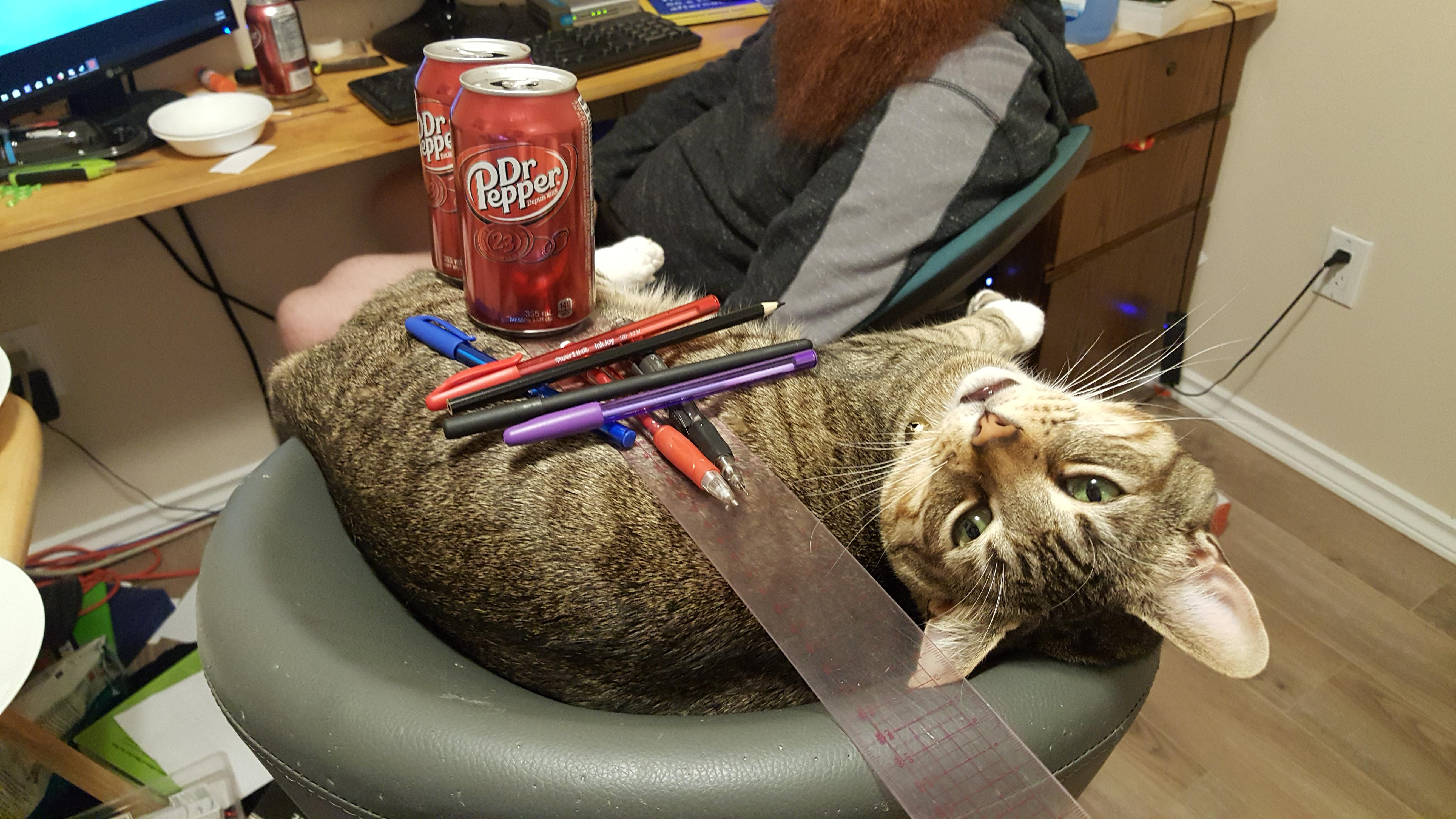 Ruler boy | Scrolller