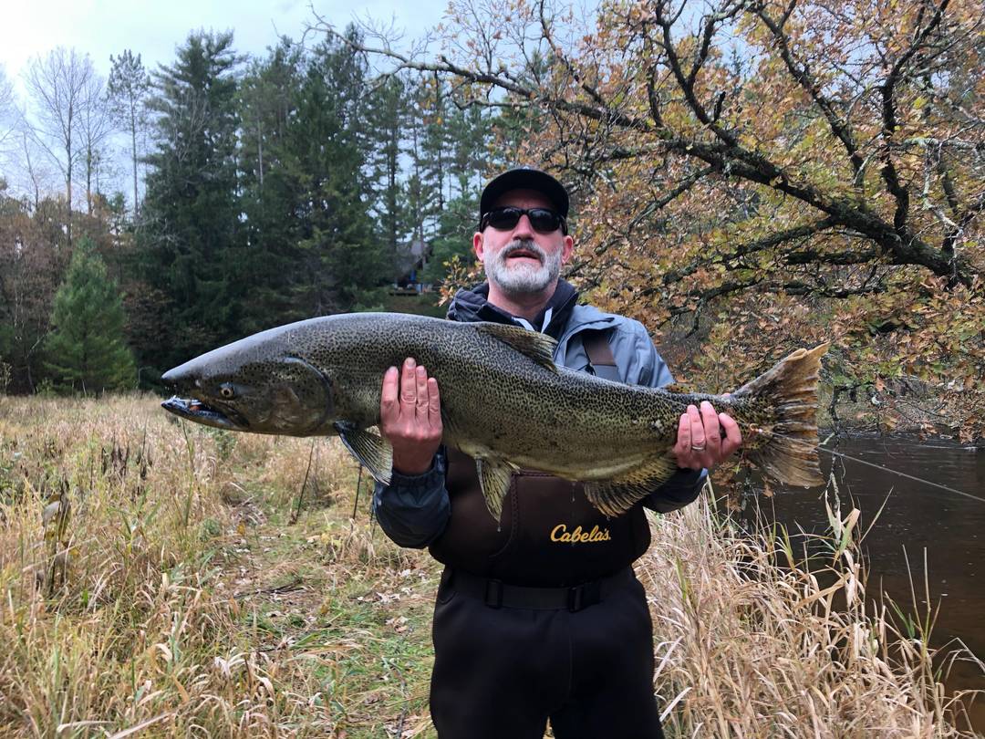 Salmon are fun to catch (and release).