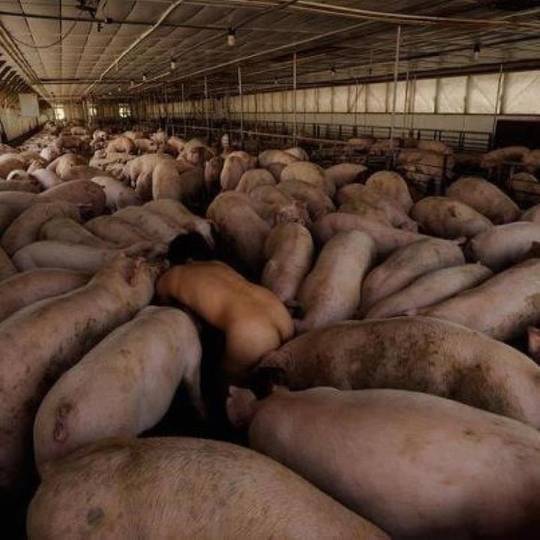 ...Sam? (x-post r/WTF)