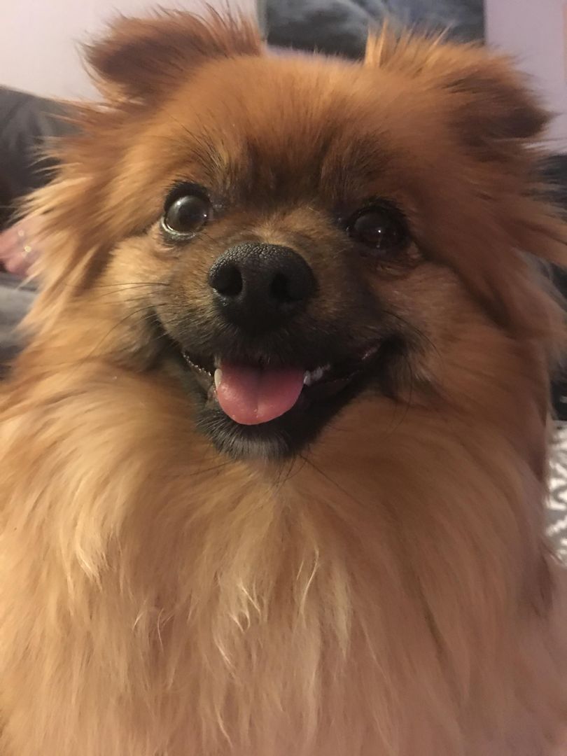 Say cheeeese 😁❤️