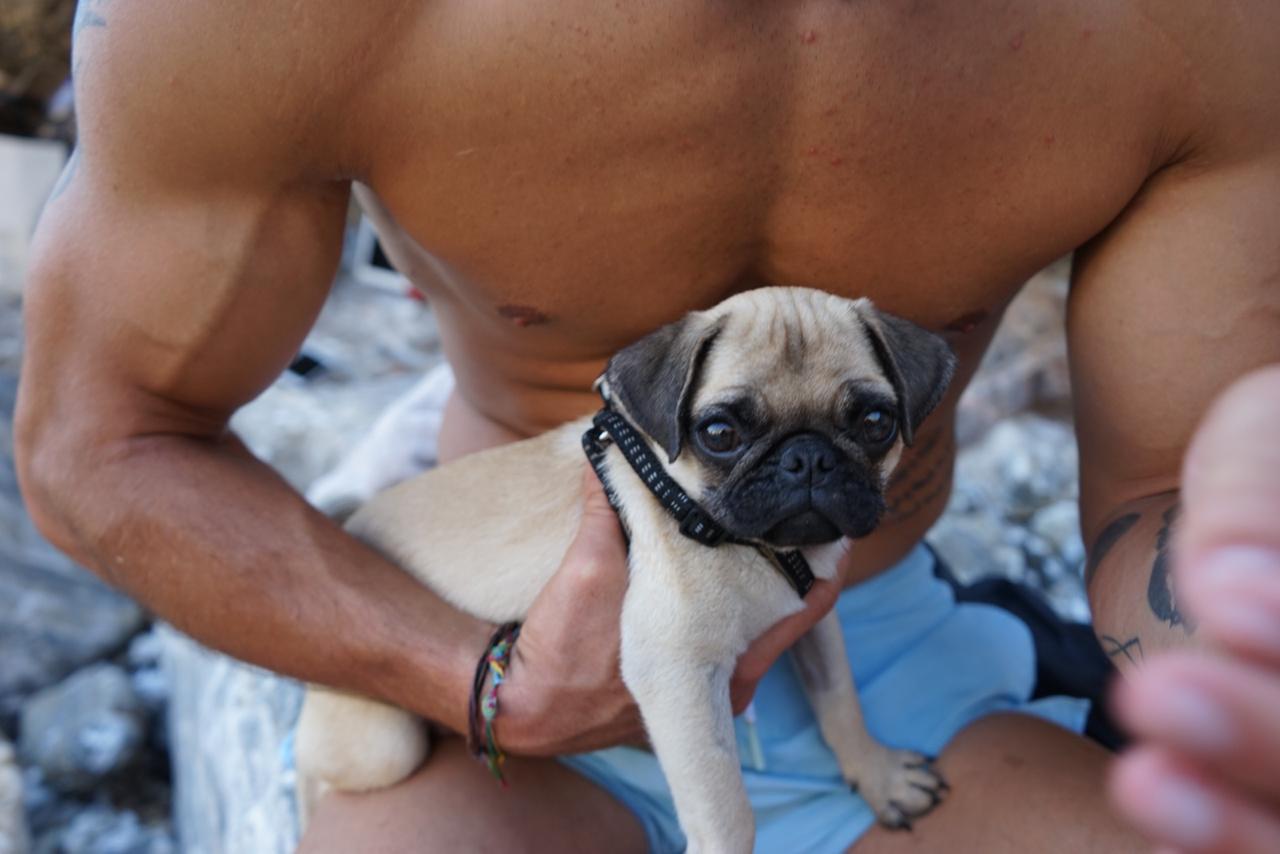 Say hello to lil Leonardo