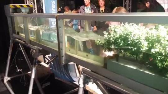 Scale model showing how mangrove forests protect the coast from wave erosion