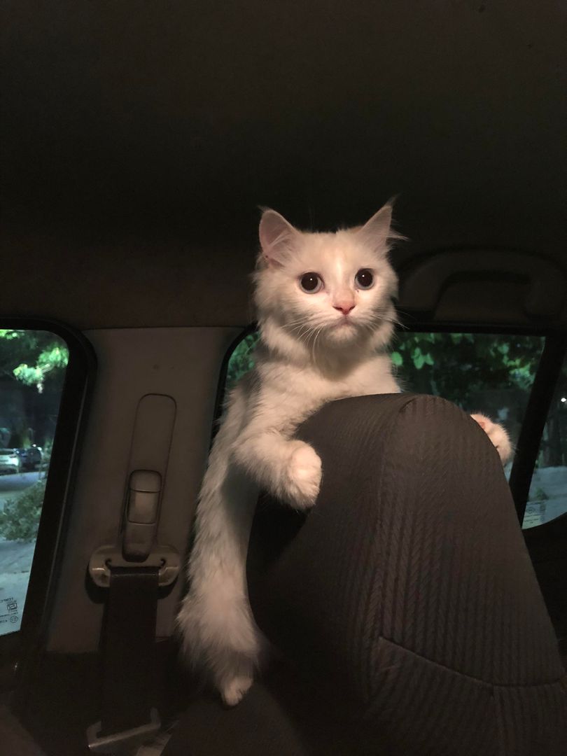 Scared but curious face!