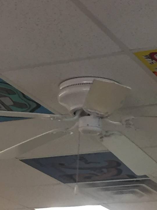 Science fan