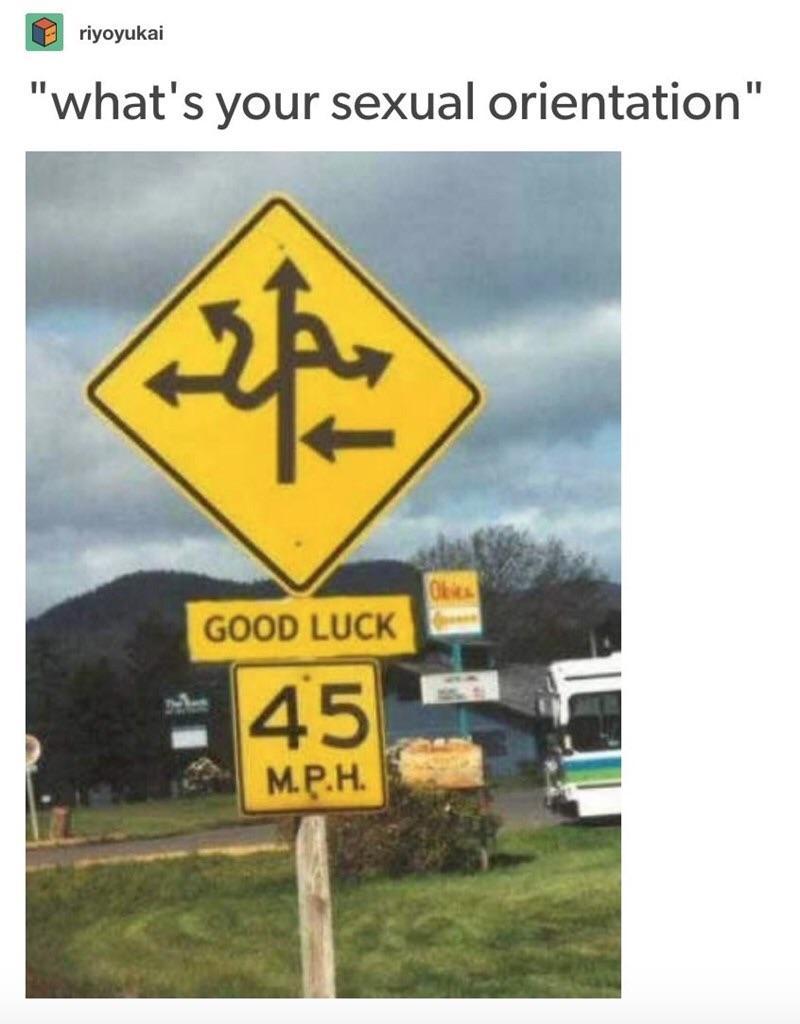 shamelessly stolen meme