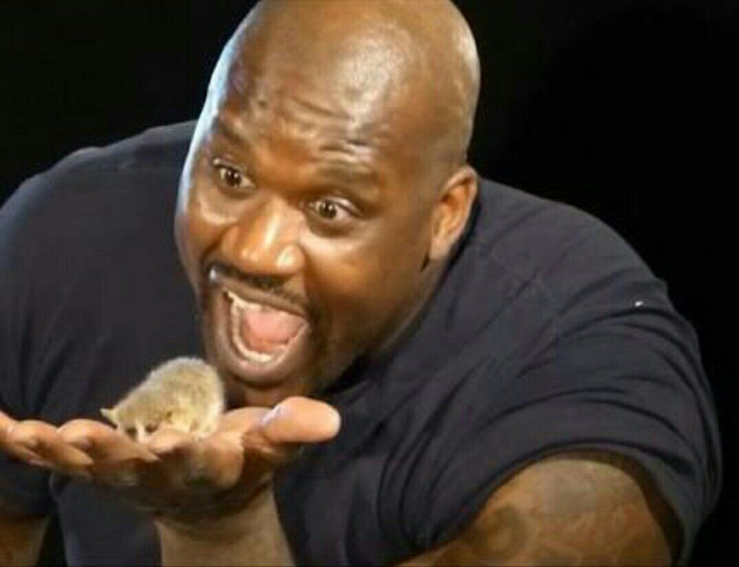 Shaq holding a mouse lemur.