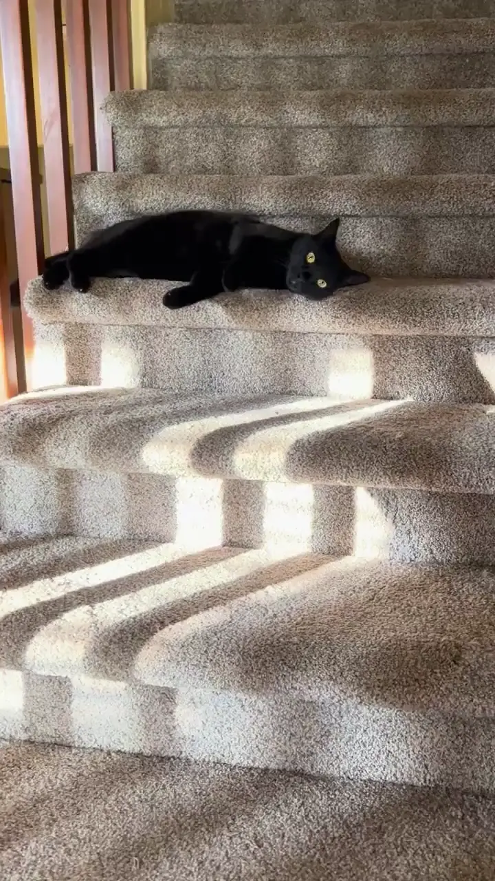 She likes to roll down the stairs