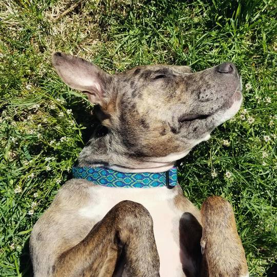 She loves dat sunshine.