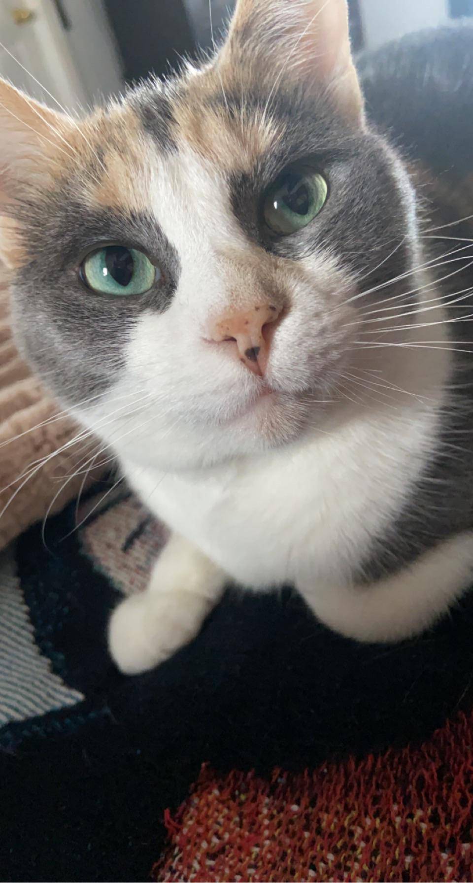 She’s so cute