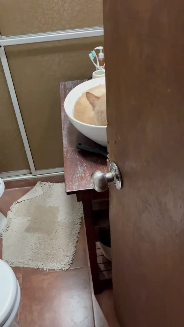 Should we call a plumber?