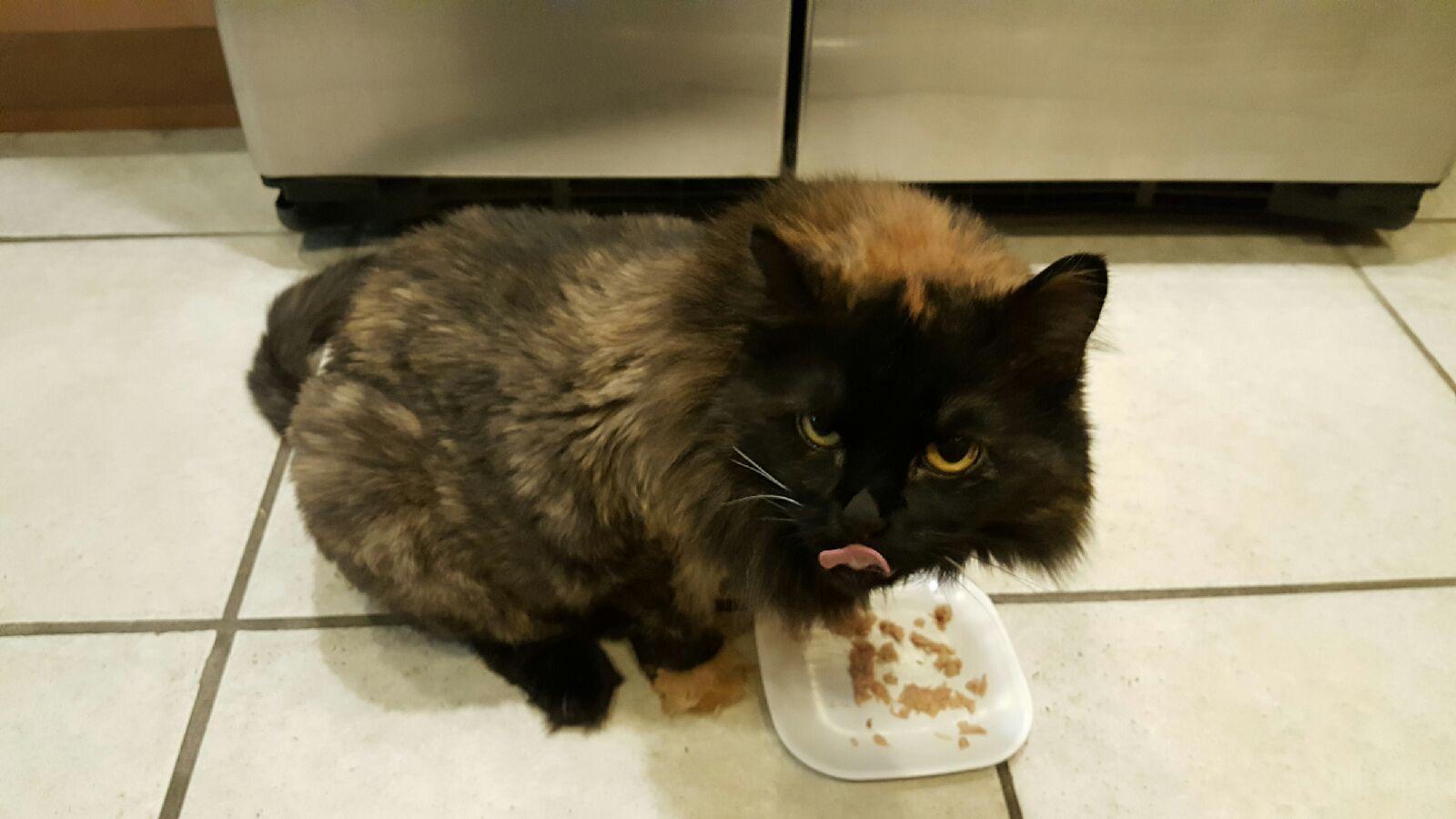 Simone’s super breakfast derp
