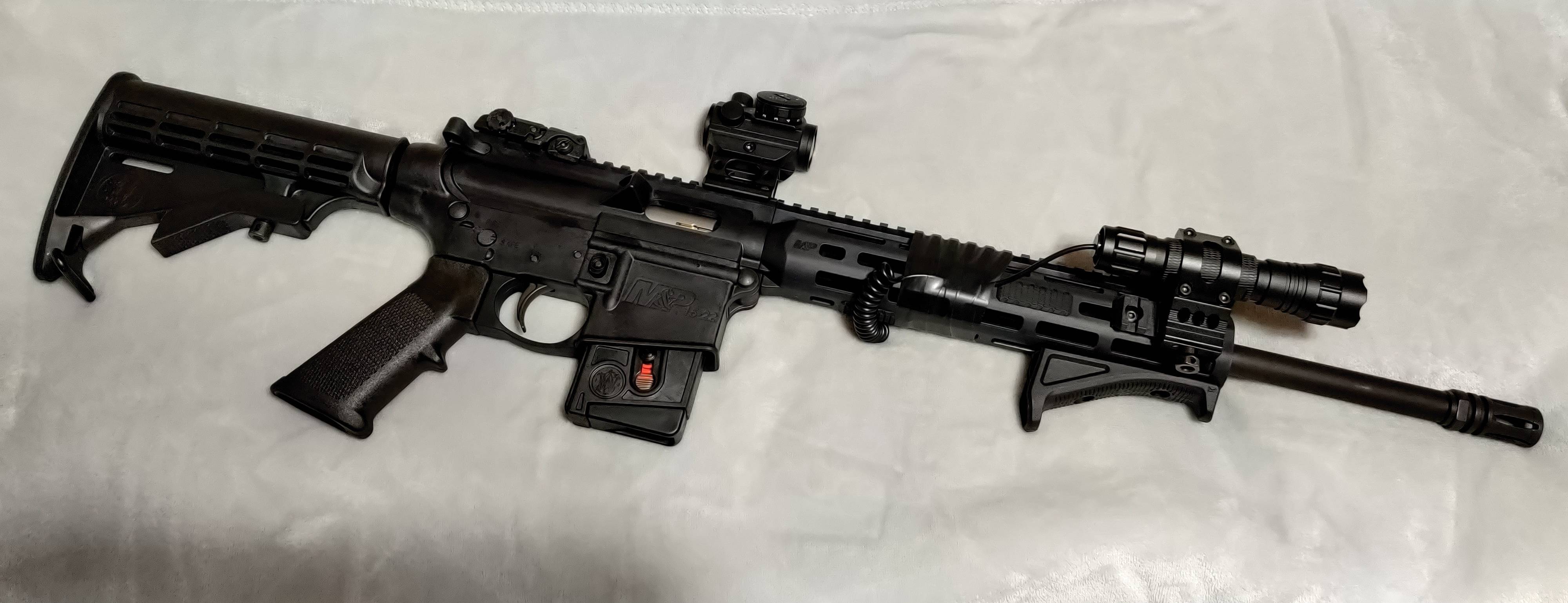 Simple, but clean. Nice for pest control and plinking. Might sbr it in ...