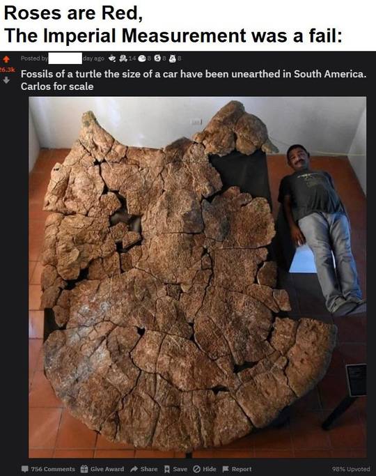 Simple Math, Return to monke.