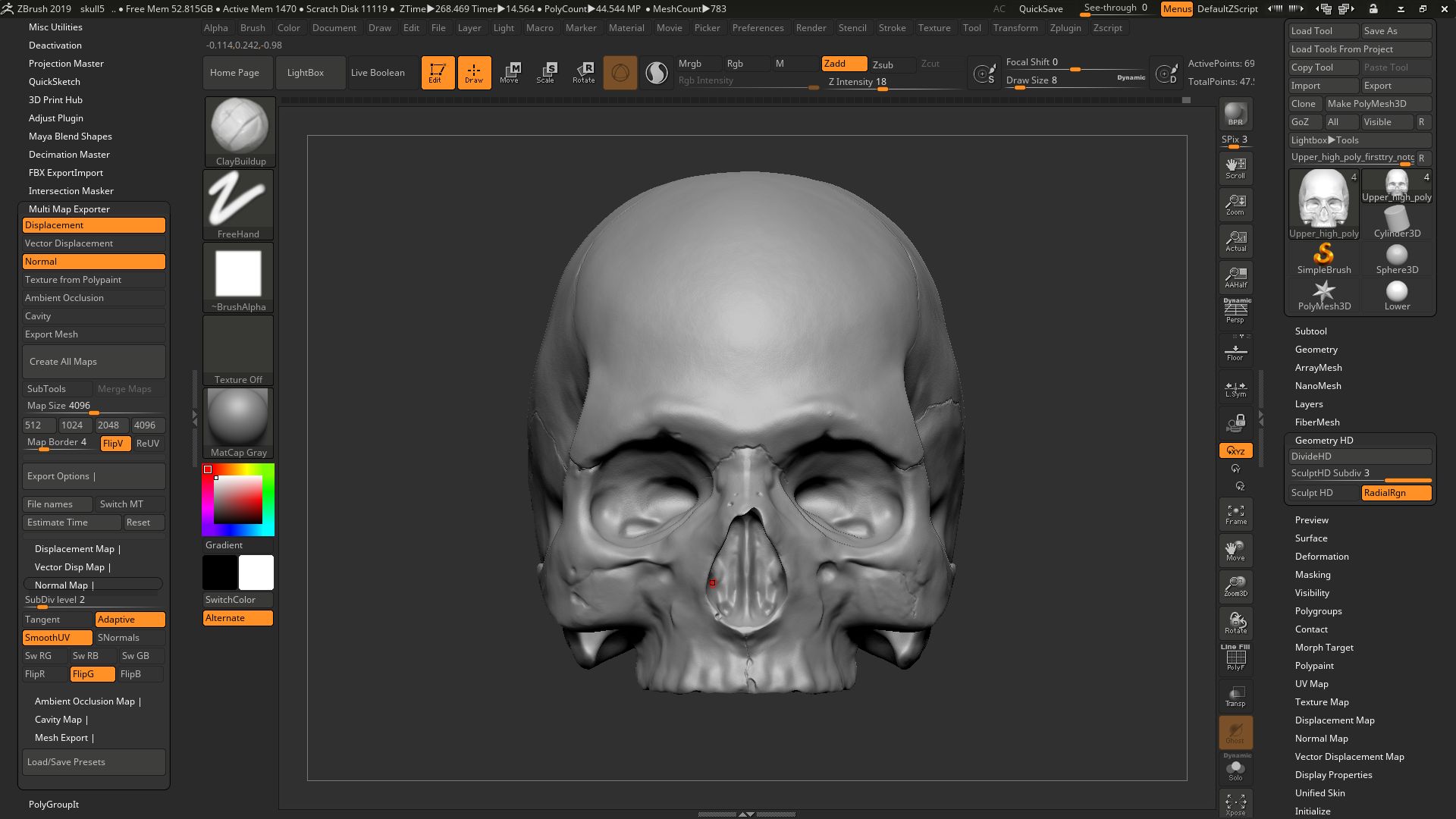 Skull study