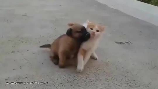 Slap and tackle
