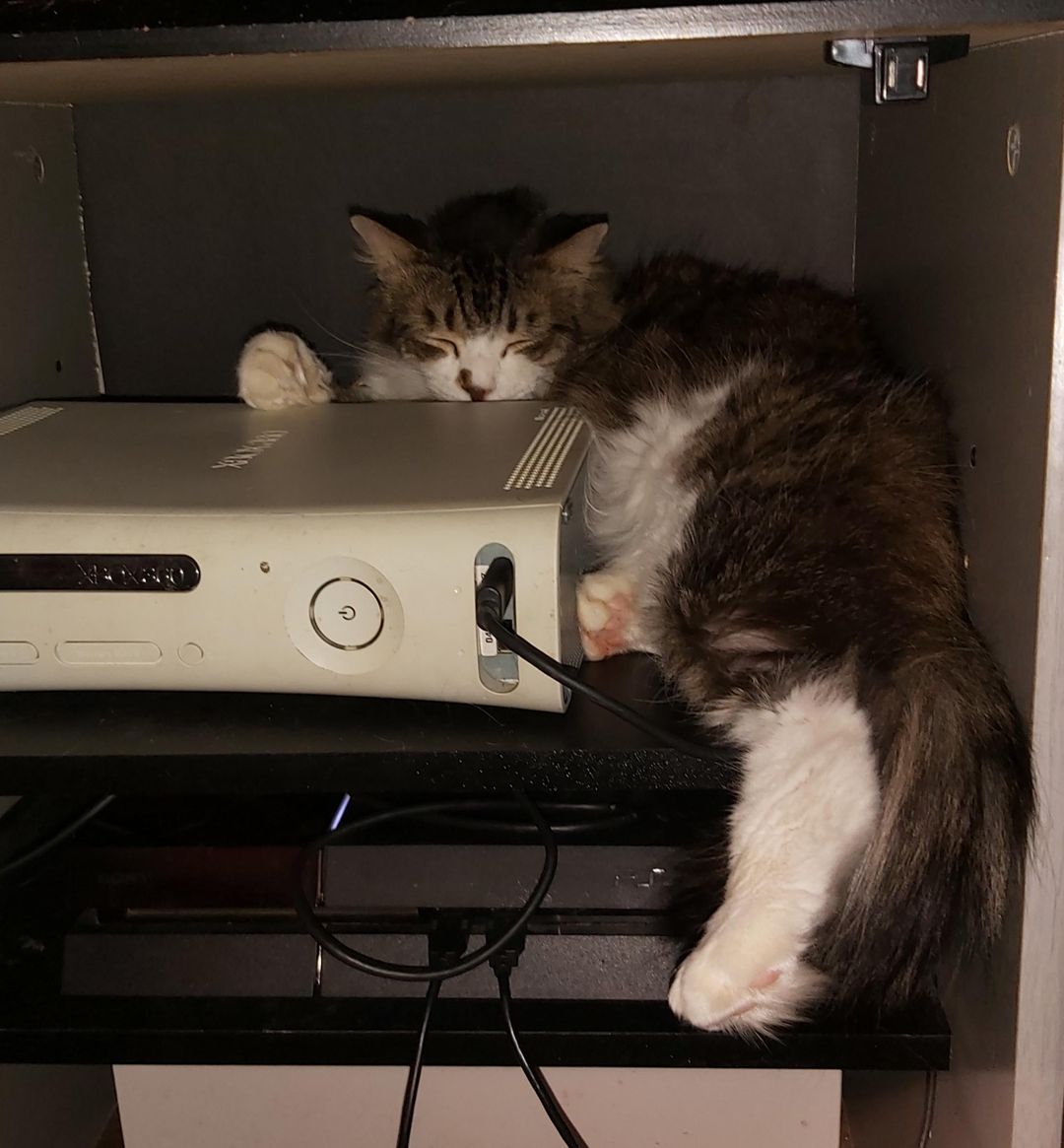 Sleeping behind the xbox
