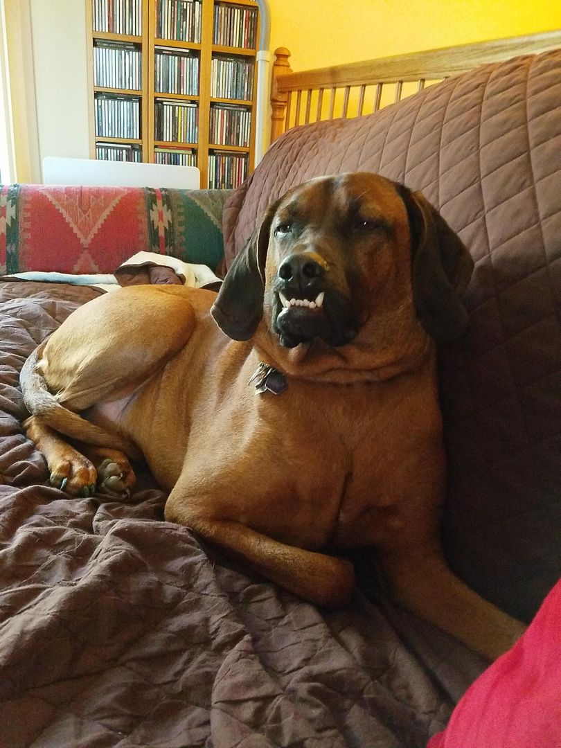 Sleepy Beast.