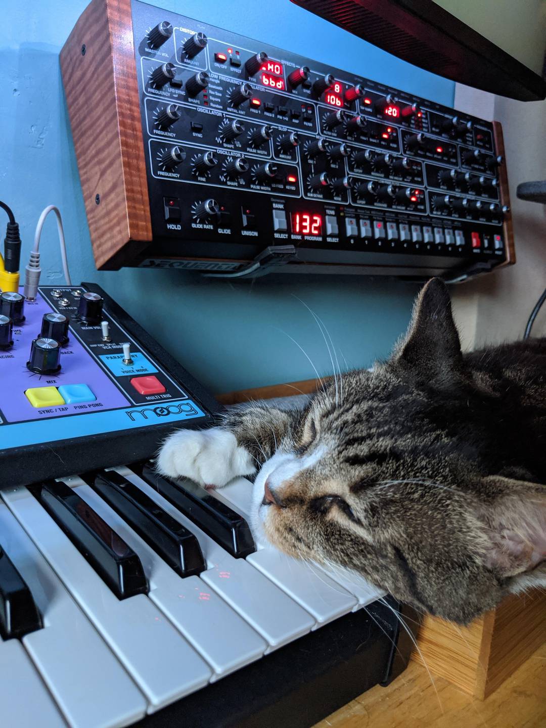 Slightly different keyboard