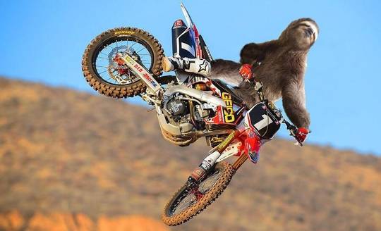 Slow rider.