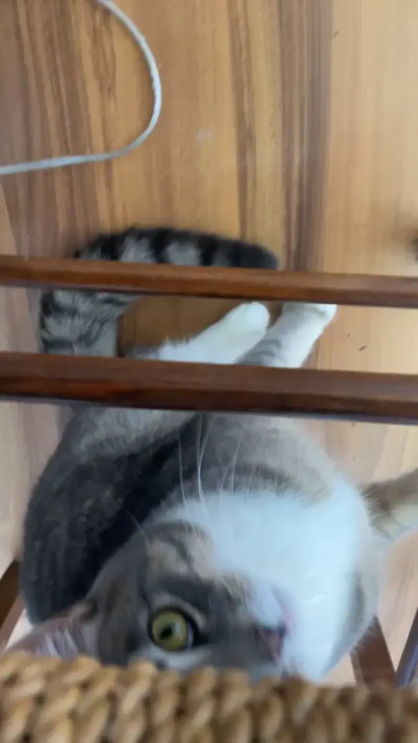 Smack, eventually…