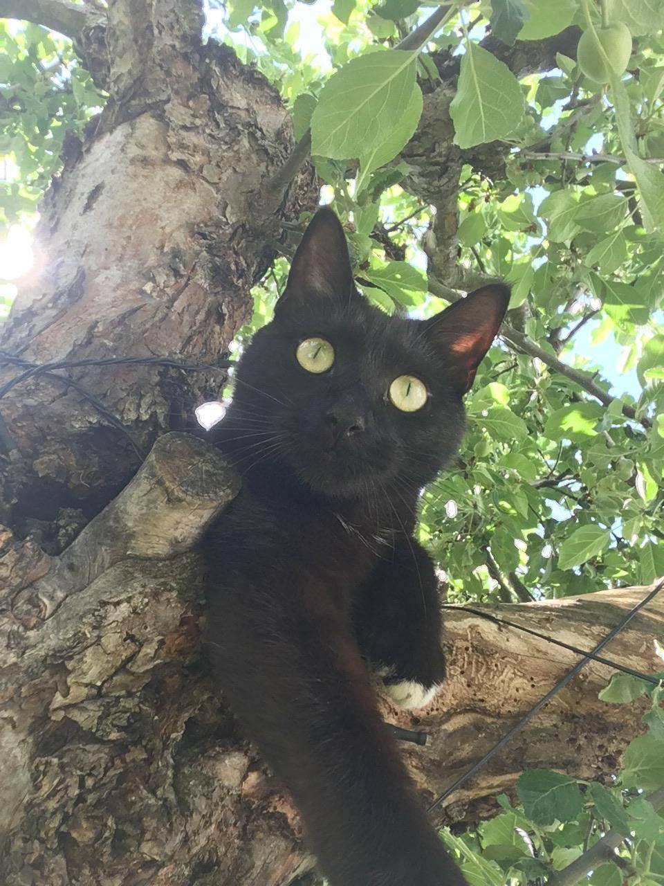 Small black pussy | Scrolller