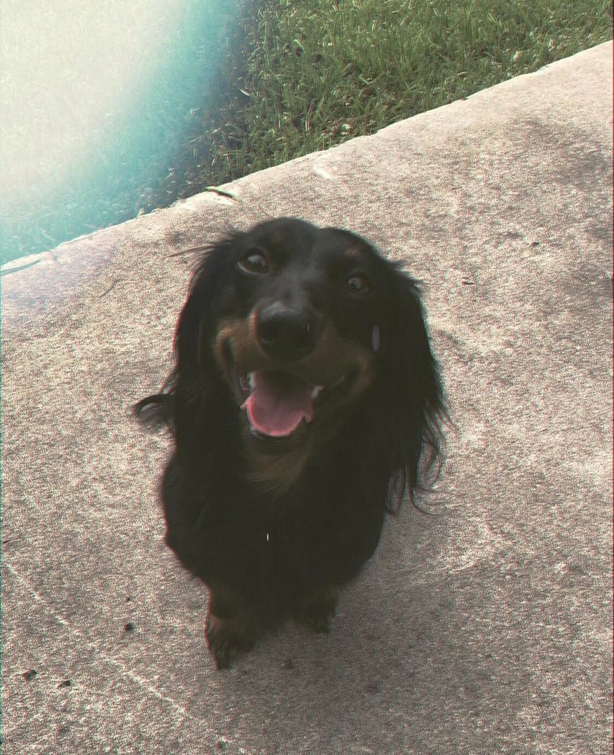 Smiley Boy!