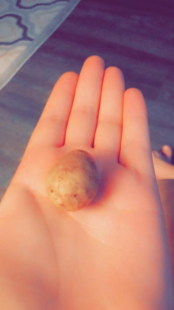 Smol™️ Potato