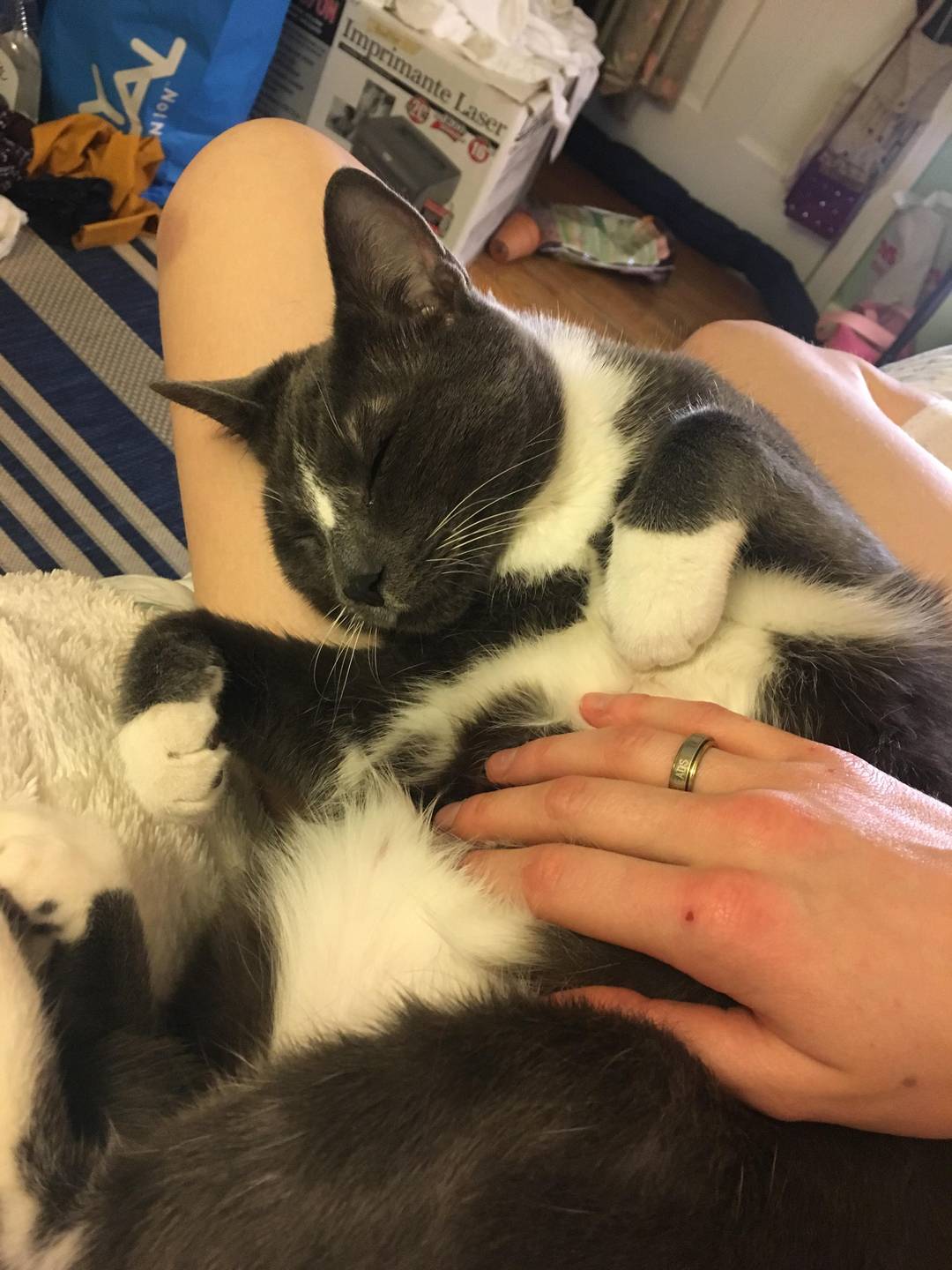 Smooshy baby belly! It’s never a trap.